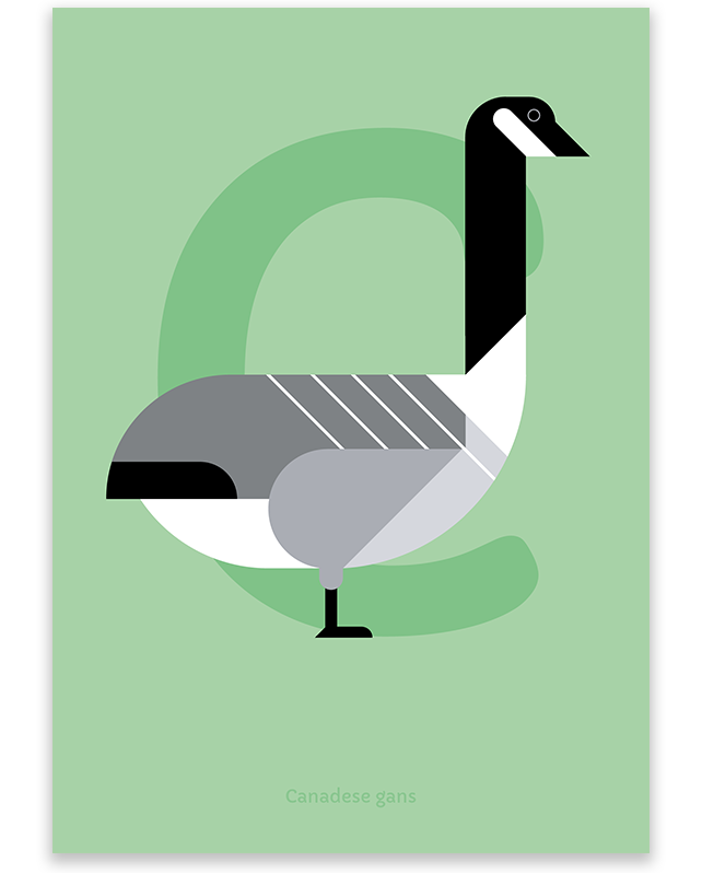 Detail Bilder Von Einer Gans Nomer 5