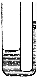 Detail Flacher Teich 6 Buchstaben Nomer 12