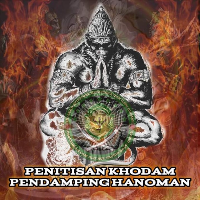 Detail Gambar Hanoman Kera Putih Nomer 3