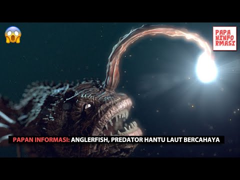 Detail Gambar Hantu Laut Nomer 55