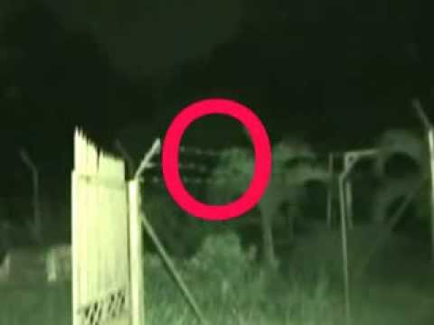 Detail Gambar Hantu Seram Nyata Nomer 48