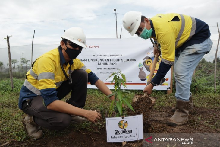 Detail Gambar Hari Lingkungan Hidup Sedunia Di Pertambangan Nomer 8