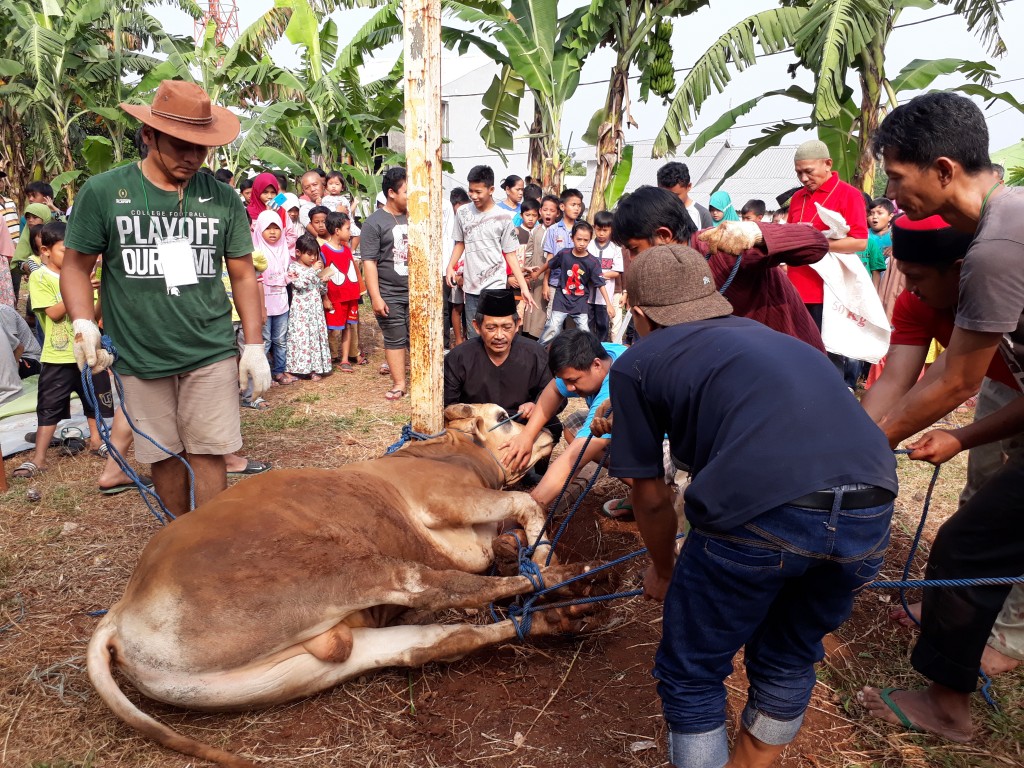 Detail Gambar Hari Raya Kurban Nomer 32