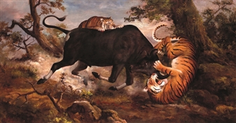 Detail Gambar Harimau Gambar Harimau Dan Banteng Nomer 2