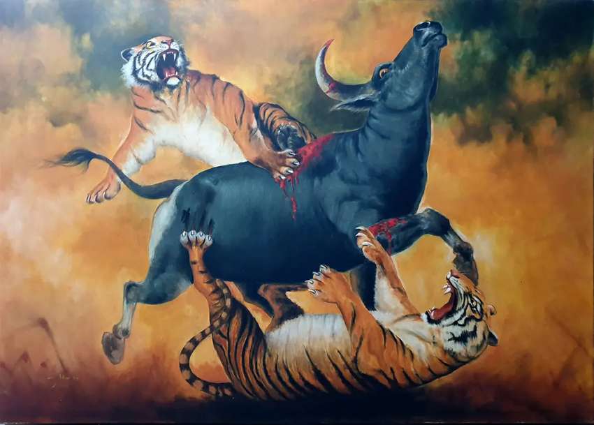 Detail Gambar Harimau Gambar Harimau Dan Banteng Nomer 4