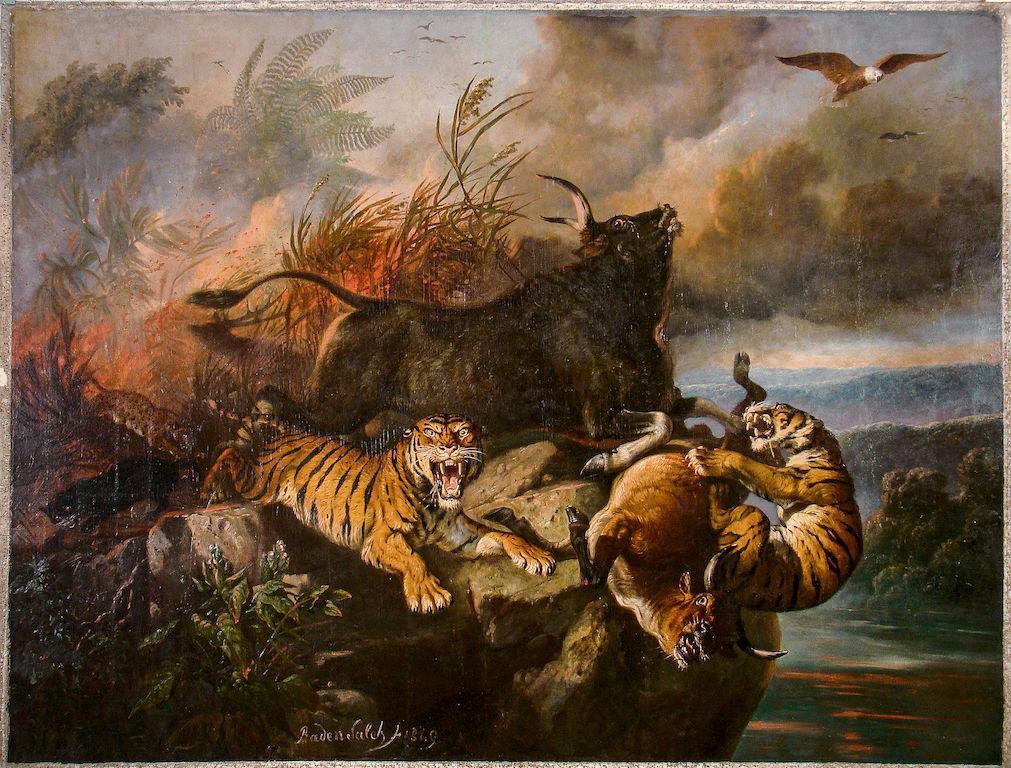 Detail Gambar Harimau Gambar Harimau Dan Banteng Nomer 7