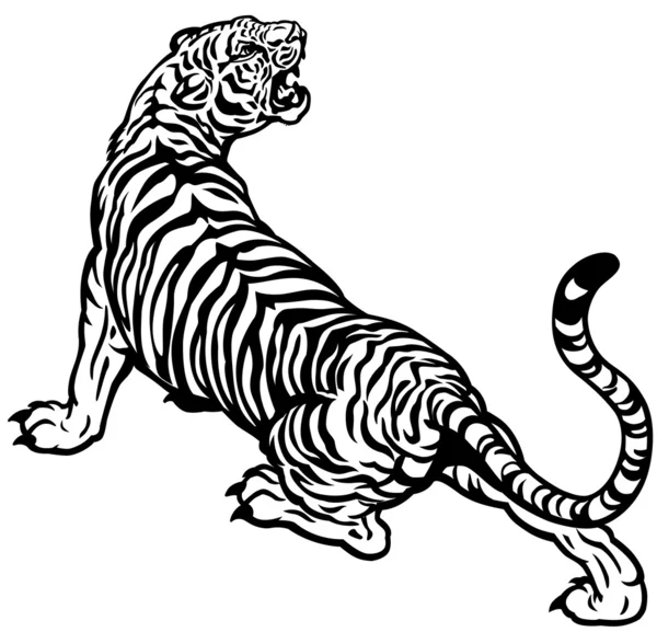 Detail Gambar Harimau Hitam Putih Nomer 21