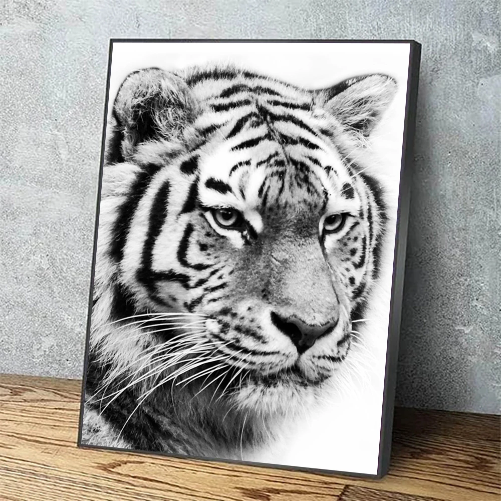 Detail Gambar Harimau Hitam Putih Keren Nomer 37