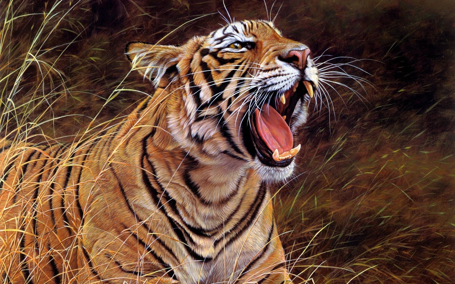 Detail Gambar Harimau Mengaum Nomer 14