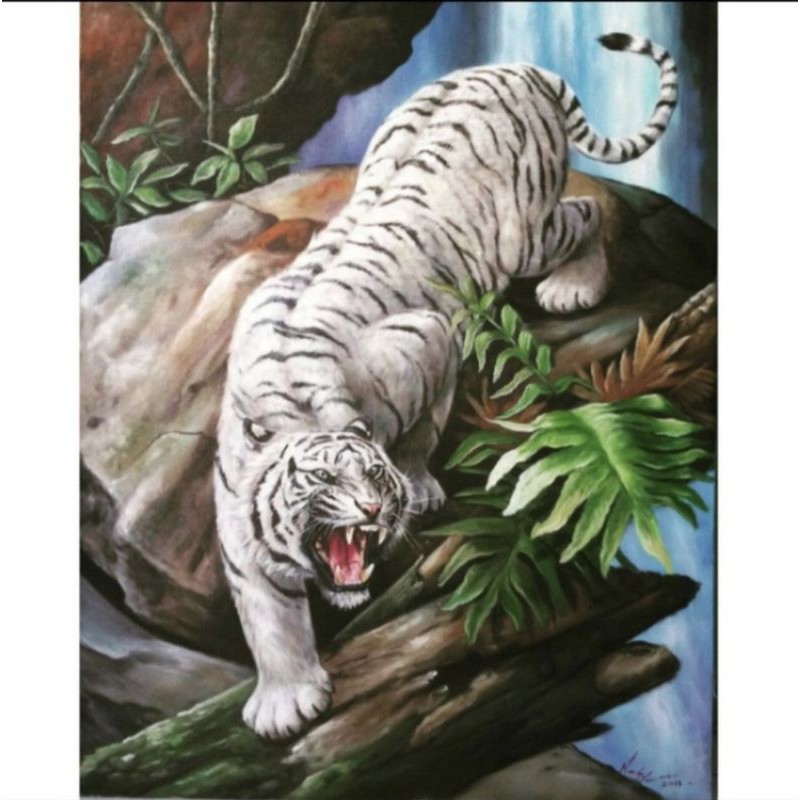 Gambar Harimau Putih 3d - KibrisPDR