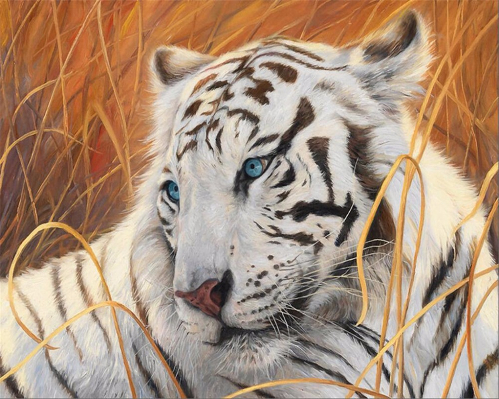 Detail Gambar Harimau Putih 3d Nomer 37