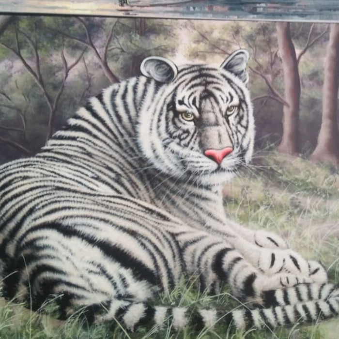 Detail Gambar Harimau Putih Hidup Nomer 16