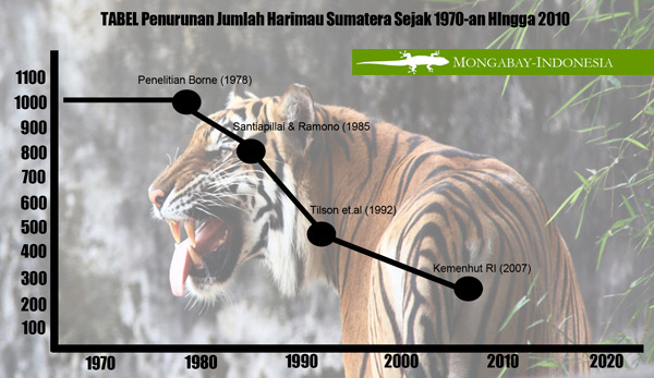 Detail Gambar Harimau Putih Hidup Nomer 37