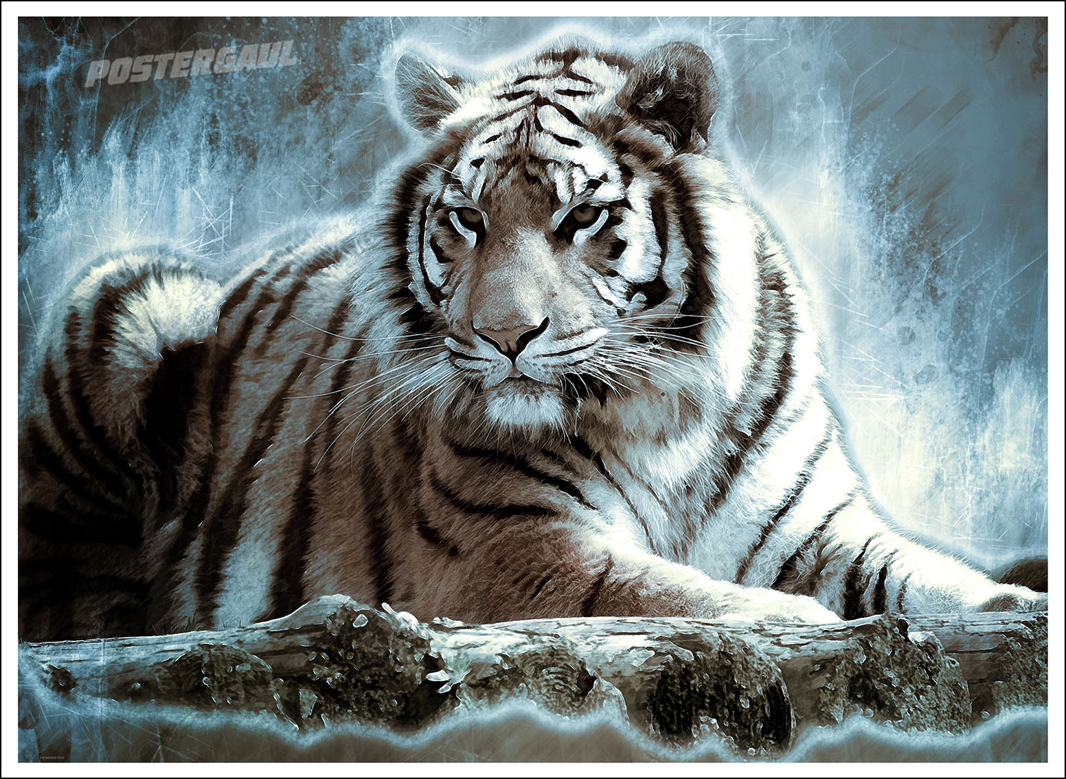 Detail Gambar Harimau Putih Keren Nomer 8