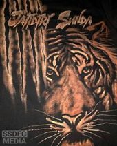 Detail Gambar Harimau Siliwangi Nomer 55