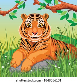 Detail Gambar Harimau Sumatra Nomer 13