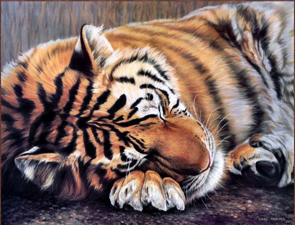 Detail Gambar Harimau Tidur Nomer 4