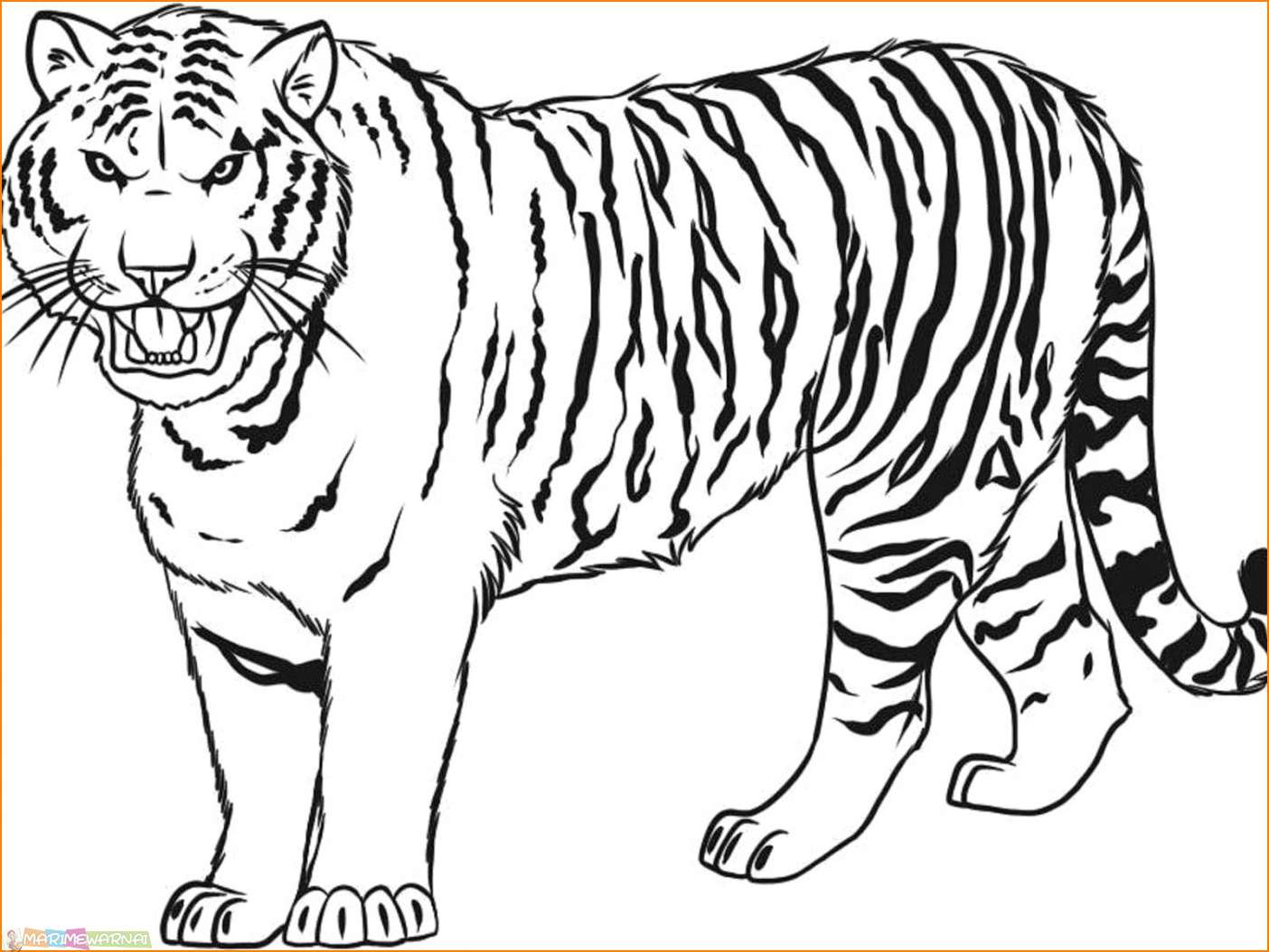 Detail Gambar Harimau Untuk Mewarnai Nomer 17