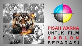 Detail Gambar Harimau Warna Cmyk Nomer 26