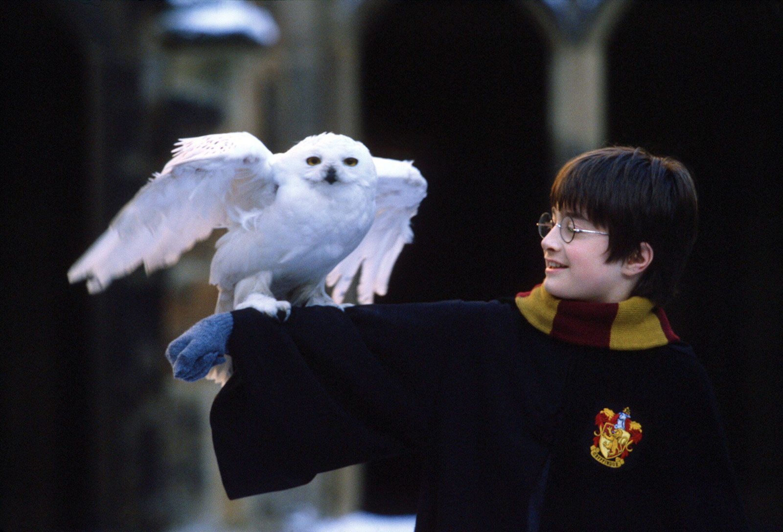 Detail Gambar Harry Potter Nomer 10