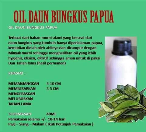 Detail Gambar Hasil Daun Bungkus Nomer 36