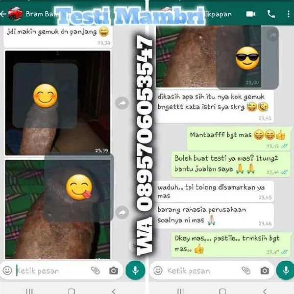 Detail Gambar Hasil Daun Bungkus Papua Nomer 18