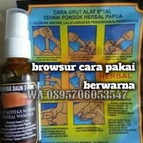 Detail Gambar Hasil Daun Bungkus Papua Nomer 23