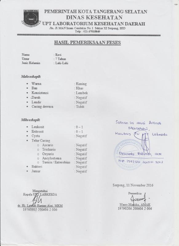 Detail Gambar Hasil Pemeriksaan Feses Nomer 9