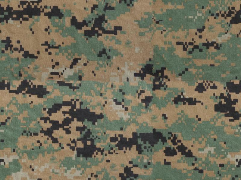 Detail Gambar Hd Camo Nomer 27