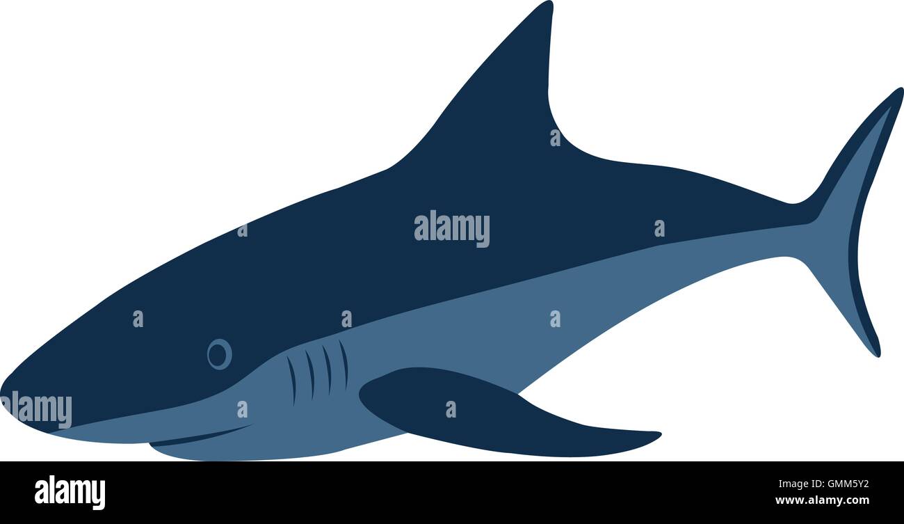 Detail Grey Reef Shark Threat Display Nomer 11