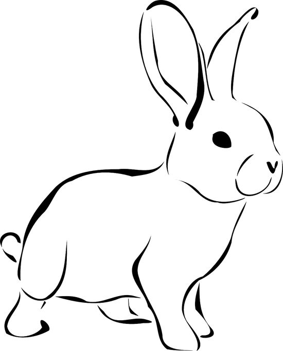 Detail Kaninchen Zeichnen Bleistift Nomer 7