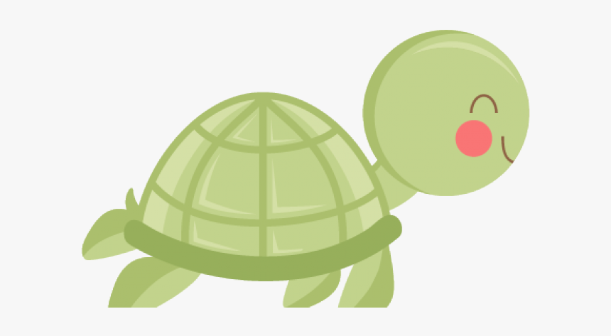 Detail Turtle Png Nomer 6