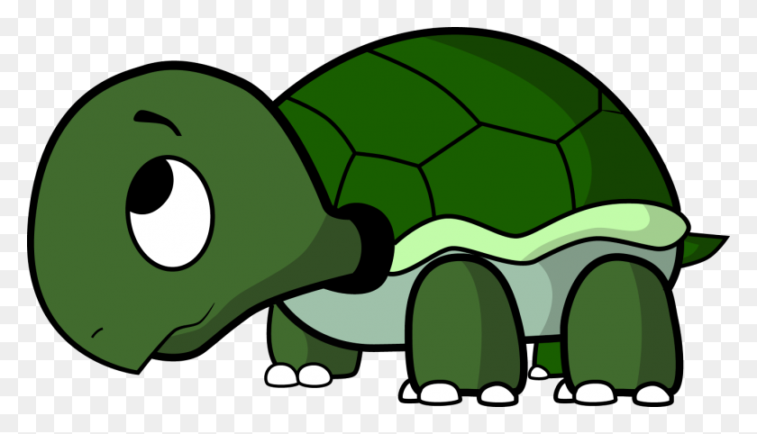 Detail Turtle Png Nomer 13