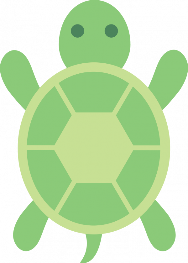 Detail Turtle Png Nomer 17