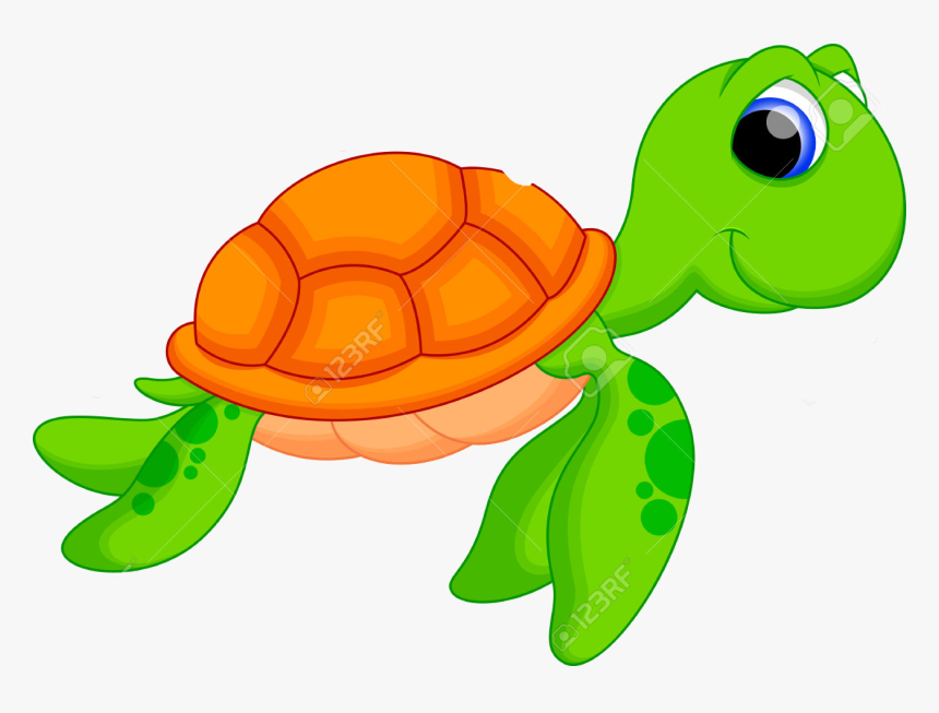 Detail Turtle Png Nomer 20