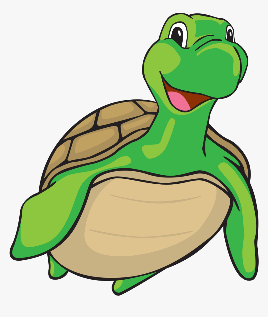 Detail Turtle Png Nomer 3
