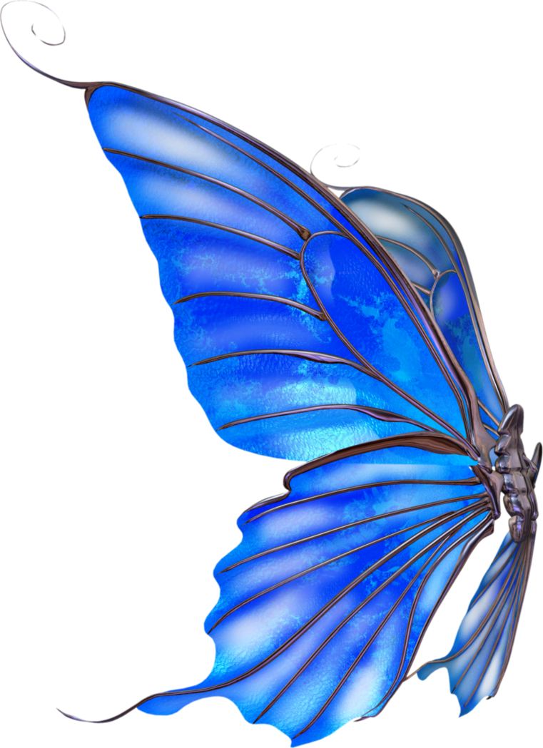 Detail Fairy Wings Png Transparent Nomer 12