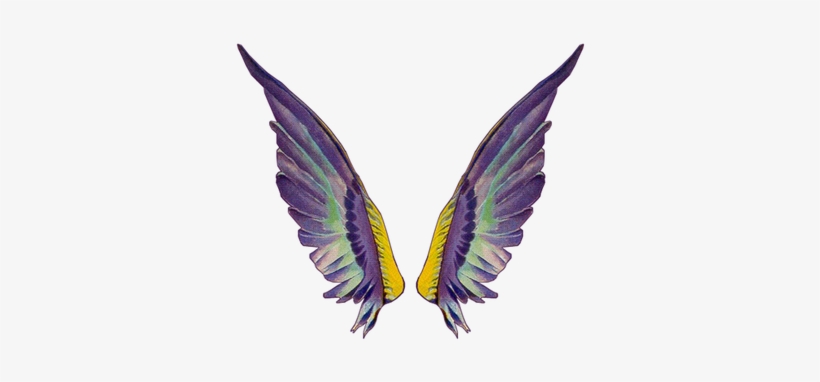 Detail Fairy Wings Png Transparent Nomer 7