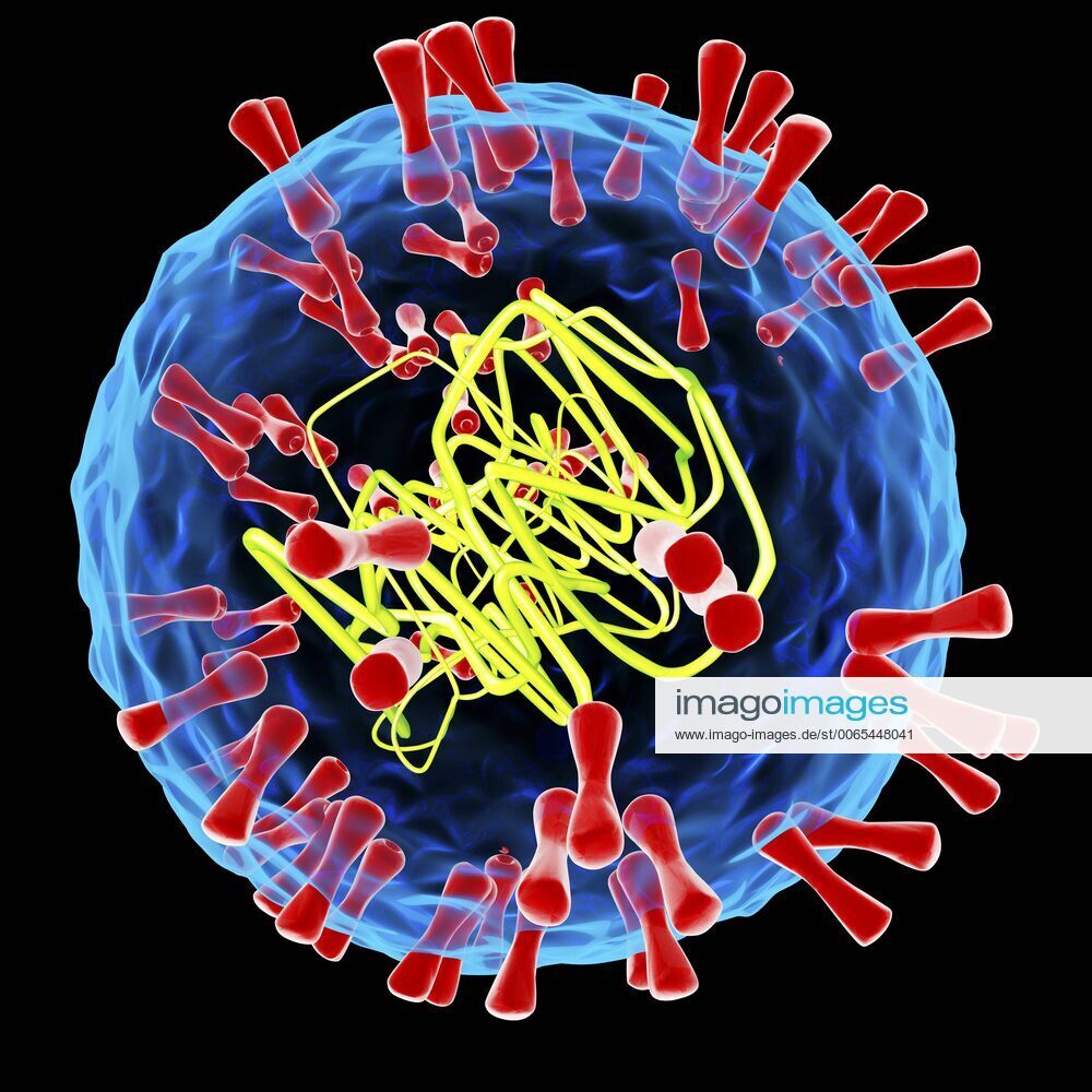 Detail Gambar Herpes Simpleks Nomer 47