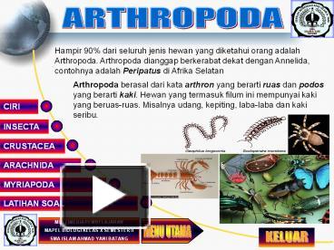 Detail Gambar Hewan Arthropoda Nomer 17