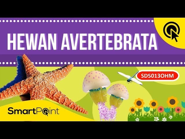 Detail Gambar Hewan Avertebrata Nomer 14