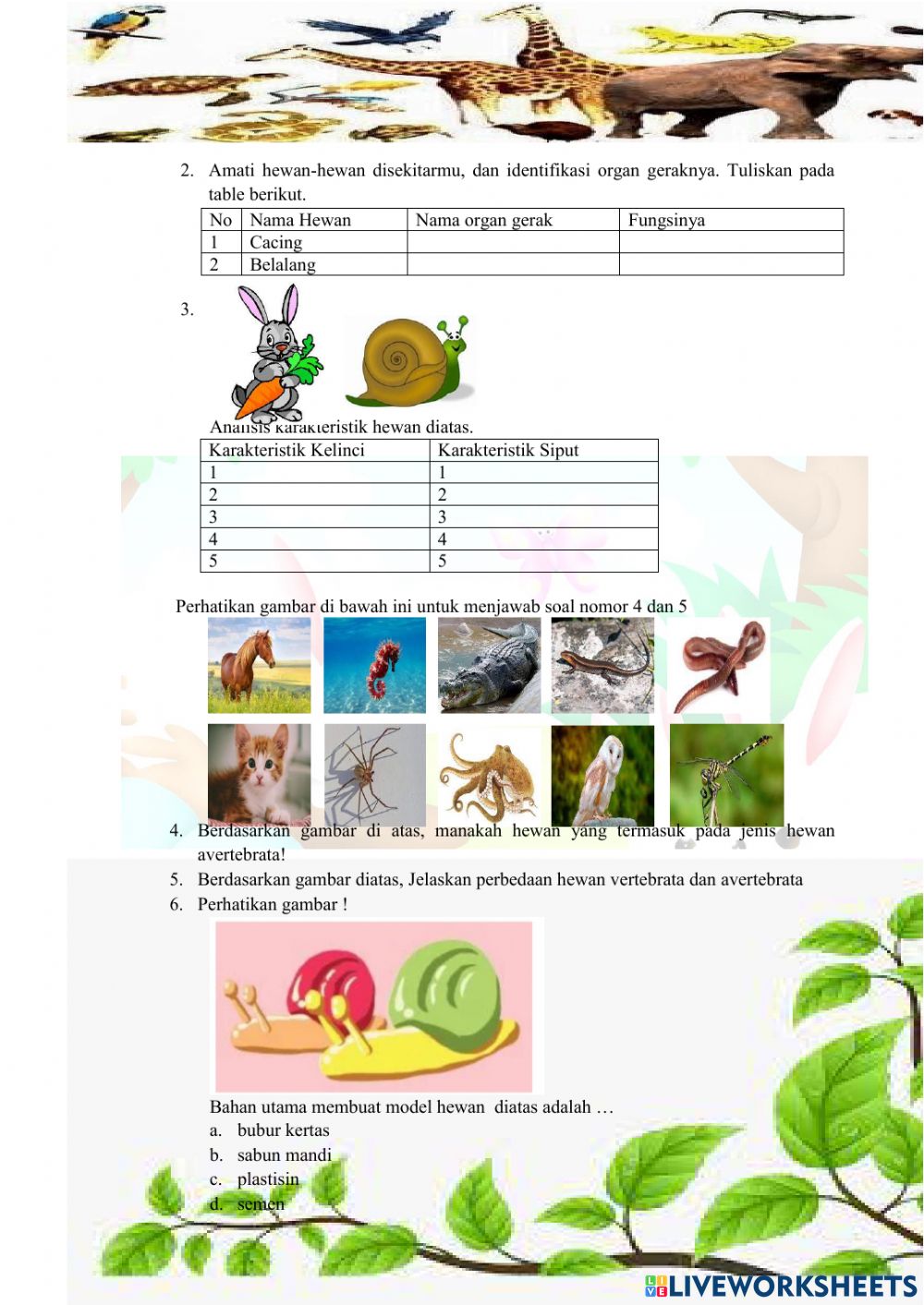 Detail Gambar Hewan Avertebrata Dan Vertebrata Nomer 34