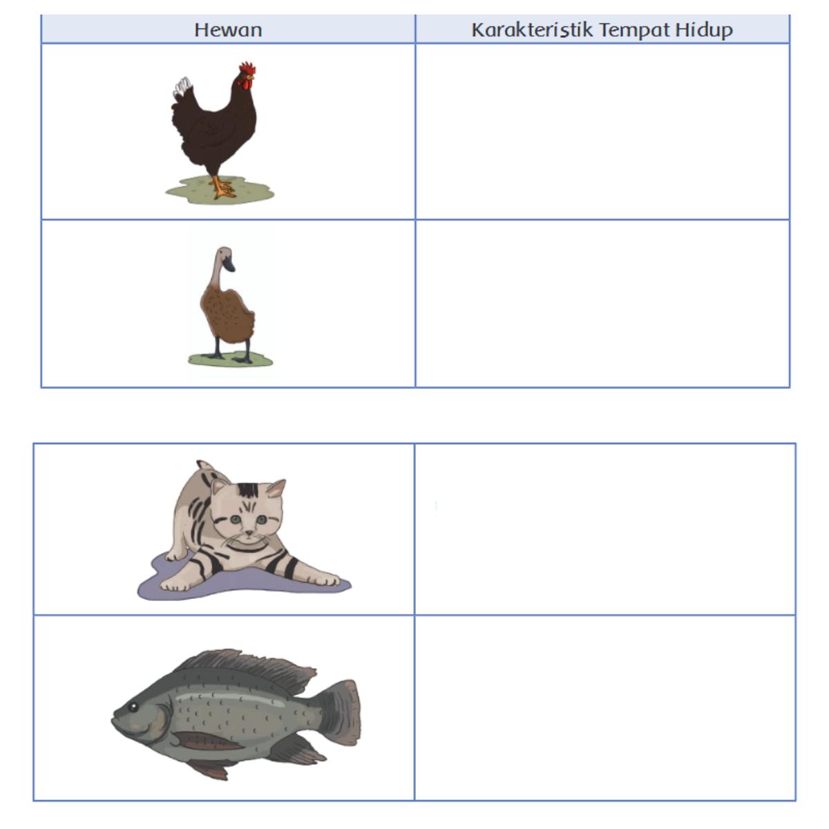 Detail Gambar Hewan Ayam Bebek Ikan Dan Cicak Nomer 19