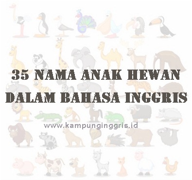 Detail Gambar Hewan Bahasa Inggris Nomer 39