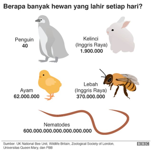 Detail Gambar Hewan Banyak Nomer 27