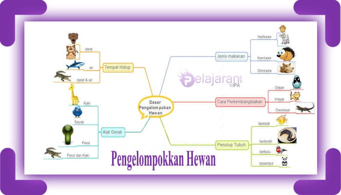 Detail Gambar Hewan Berdasarkan Tempat Tinggalnya Nomer 31