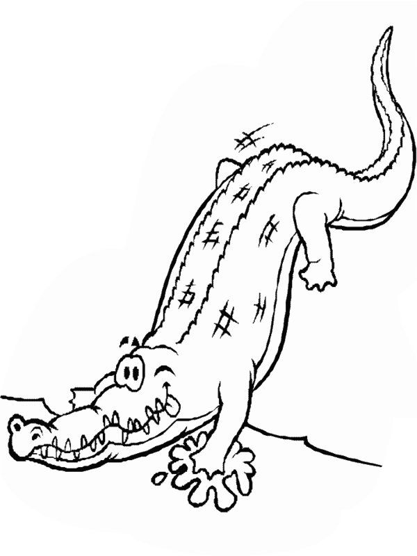 Detail Gambar Hewan Crocodile Nomer 7