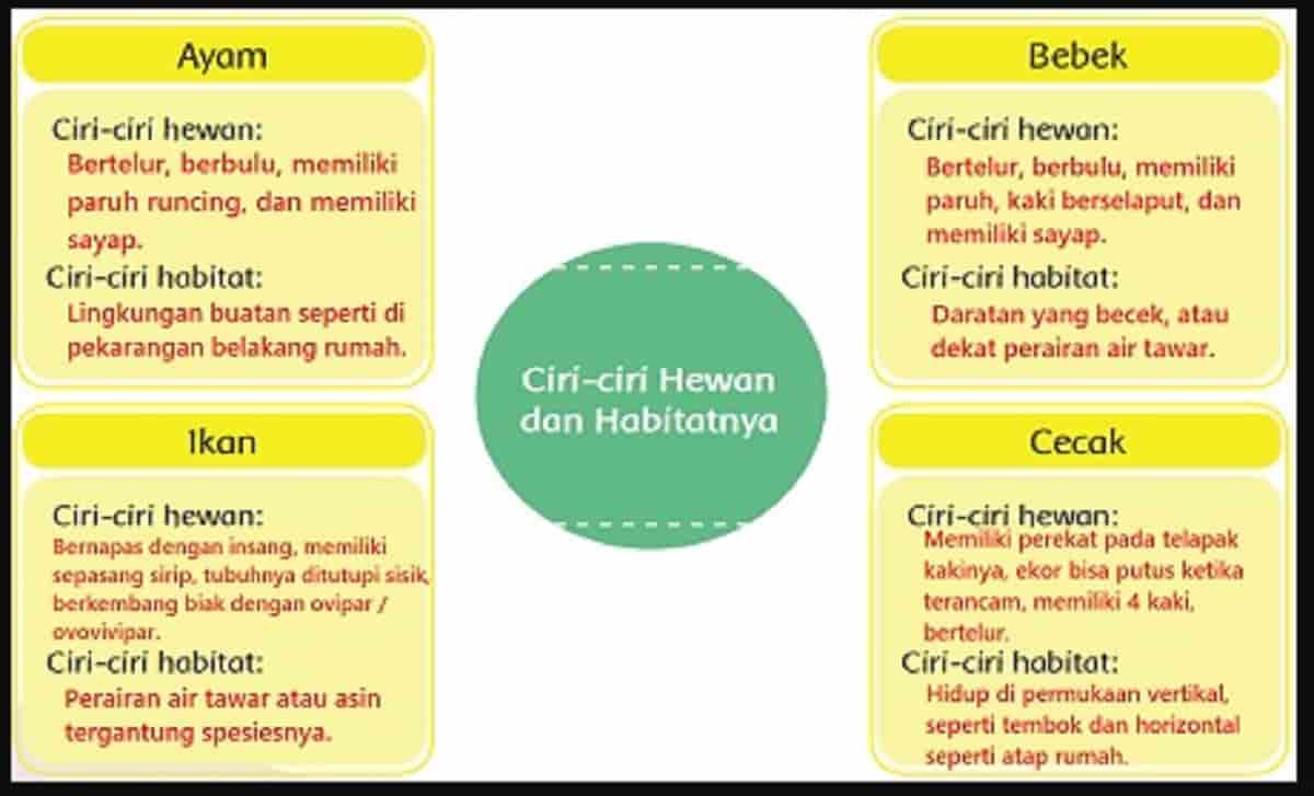 Detail Gambar Hewan Dan Habitatnya Nomer 23