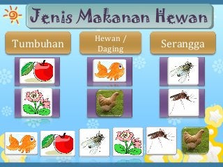 Detail Gambar Hewan Dan Jenis Makanannya Nomer 17