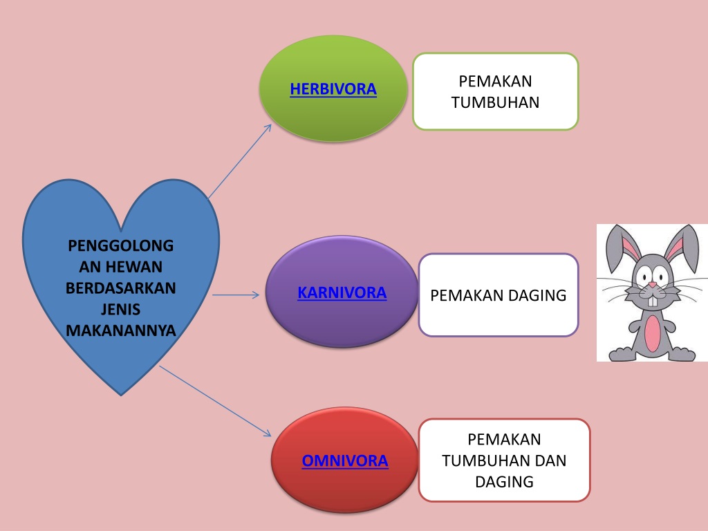 Detail Gambar Hewan Dan Jenis Makanannya Nomer 41